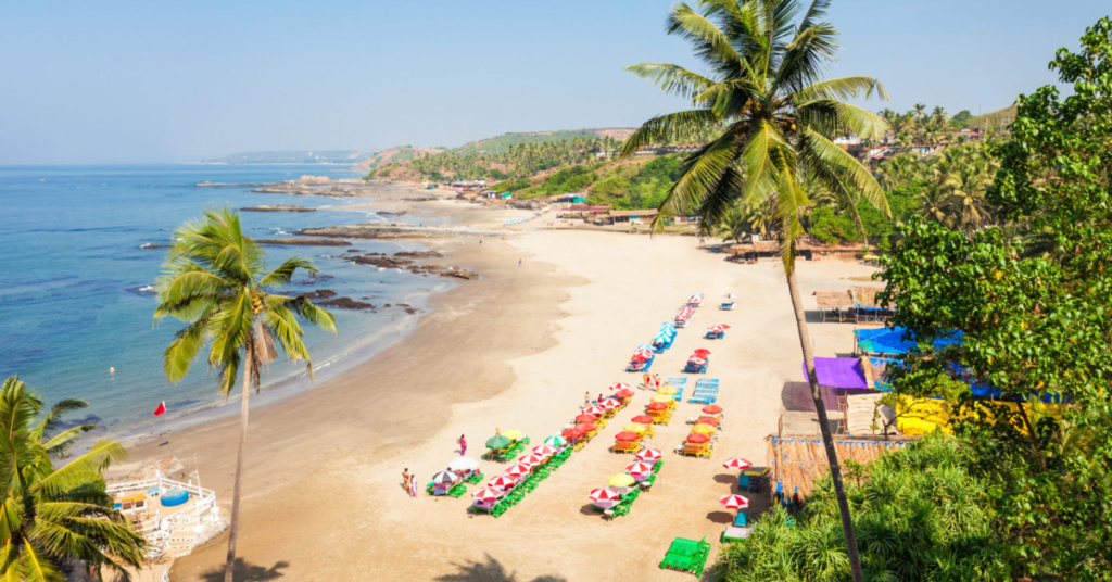 Coastal Adventures: Unveiling The Range Of Beach Activities And Excursions Organized By North Goa Beach Resorts